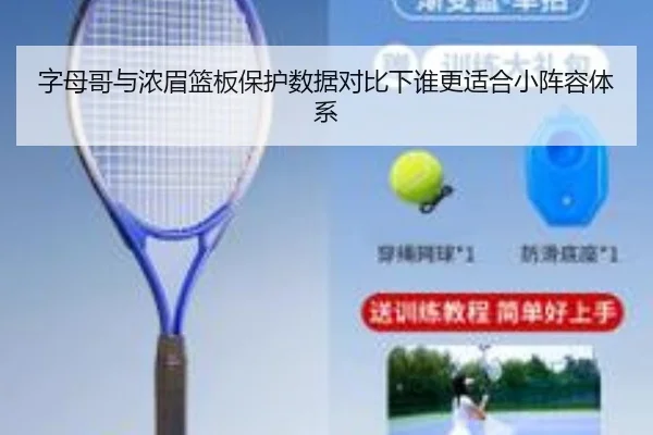 字母哥与浓眉篮板保护数据对比下谁更适合小阵容体系